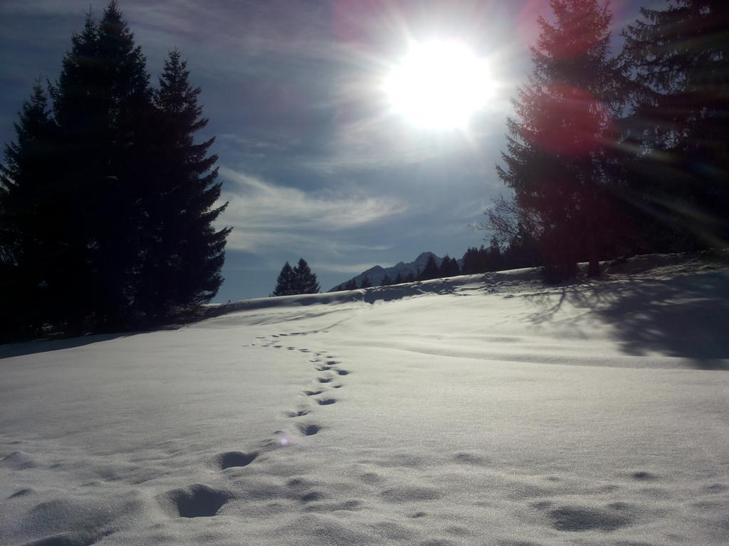 Appartamenti La Val Andalo Dış mekan fotoğraf