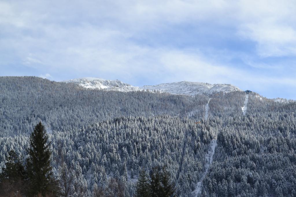 Appartamenti La Val Andalo Dış mekan fotoğraf